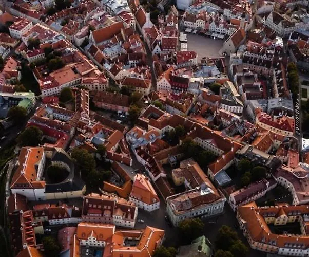 Deluxe Art In Heart Of Διαμέρισμα Ταλίν